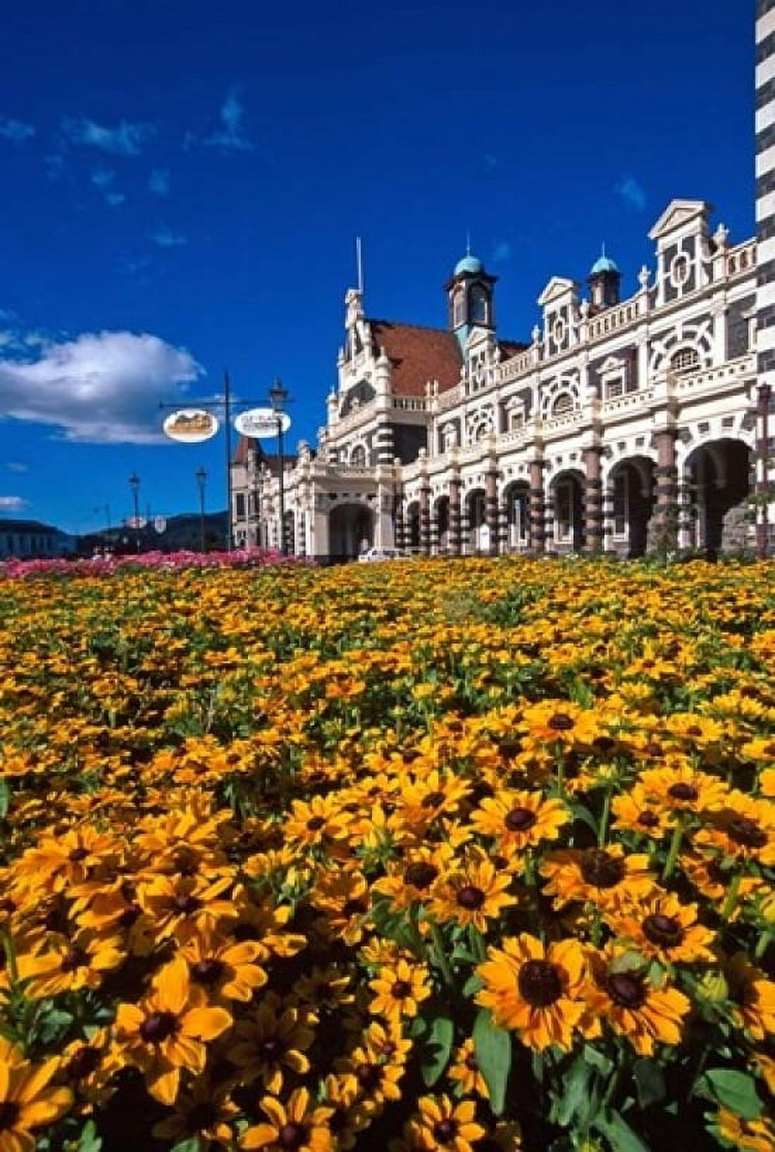 Historic Railway Station and field of flowers Dunedin New Zealand Canvas Art - David Wall  DanitaDelimont (18 x 24)