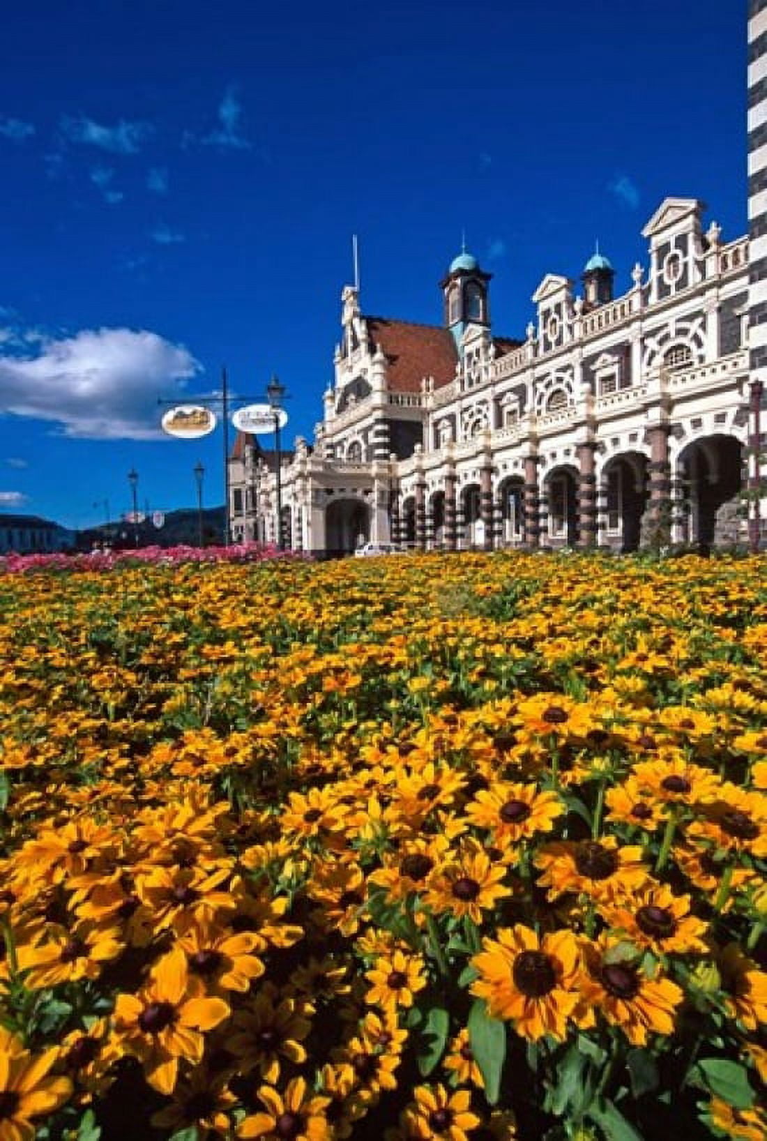 Historic Railway Station and field of flowers Dunedin New Zealand Canvas Art - David Wall DanitaDelimont (25 x 37)