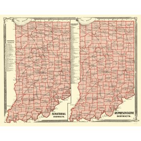Historic State Map - Indiana Senatorial Representative Districts - Baskins 1876 - WallArt