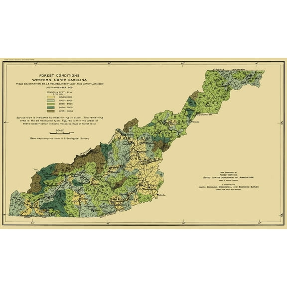 Historic State Map - North Carolina Western Forest Conditions - USFS 1909 - 23 x 38 - Vintage Wall Art