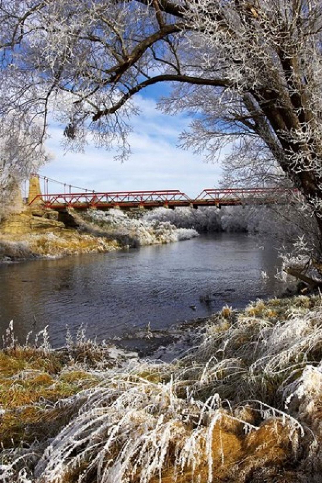 Historic Suspension Bridge Taieri River South Island New Zealand Canvas Art - David Wall DanitaDelimont (23 x 34)