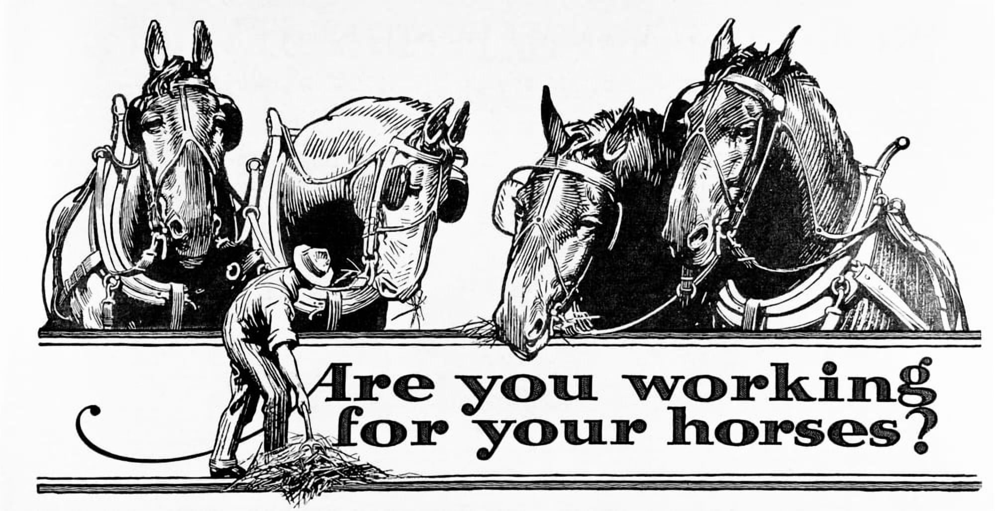 Historic Are you working for your horses advertisement with illustration of farmer and horses in early 20th century Canvas Art - Remsberg Inc Design Pics (21 x 11)