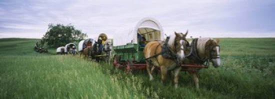 Historical reenactment Covered wagons in a field North Dakota USA Canvas Art - Panoramic Images (36 x 13)