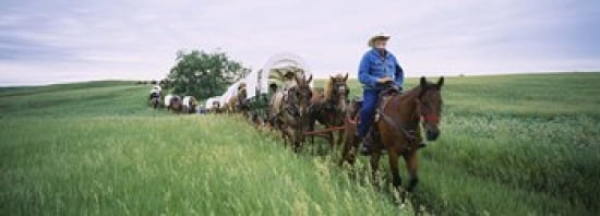 Historical reenactment of covered wagons in a field North Dakota USA Canvas Art - Panoramic Images (36 x 13)
