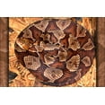 thumbnail image 1 of History Galore Gallery Copperhead Snake 36" x 24" Poster, 1 of 1