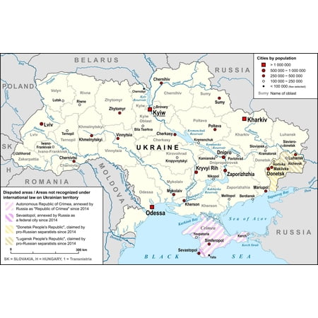 History Galore Map of Ukraine 24 x 36 Framed Poster