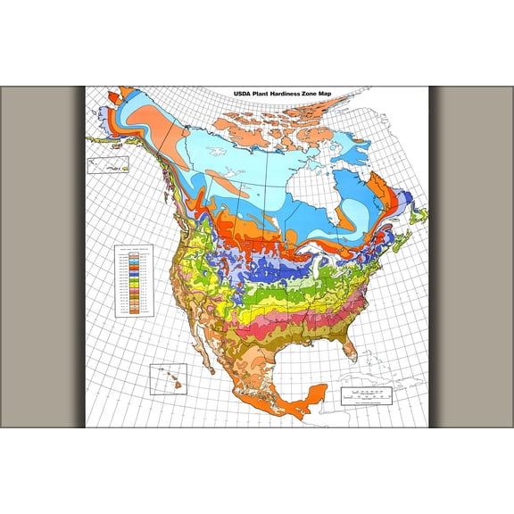 History Galore Usda Plant Hardiness Zone Map 24 x 36 Poster