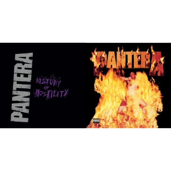 History Of Hostility & Reinventing The Steel [LP Vinyl Bundle]