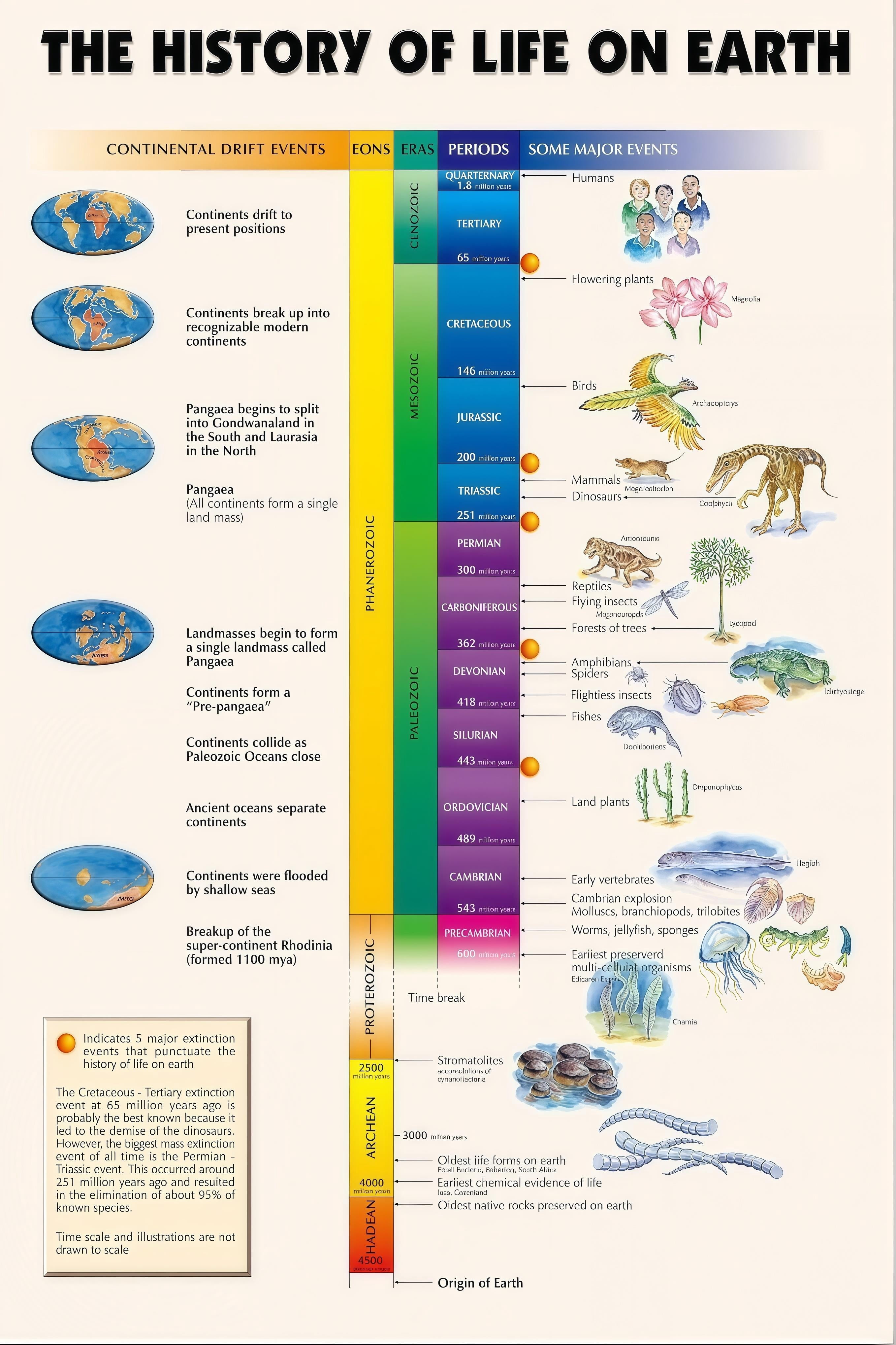 History of Life on Earth Illustrated Science Reference for Classroom