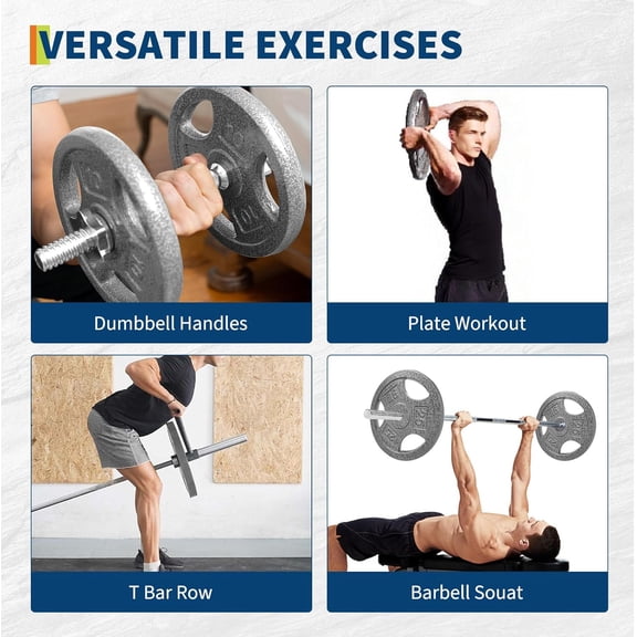 Historyli Cast Iron Weight Plates with Triple Grip Handles, 1 Inch Standard Plates for Home Gym, Gray