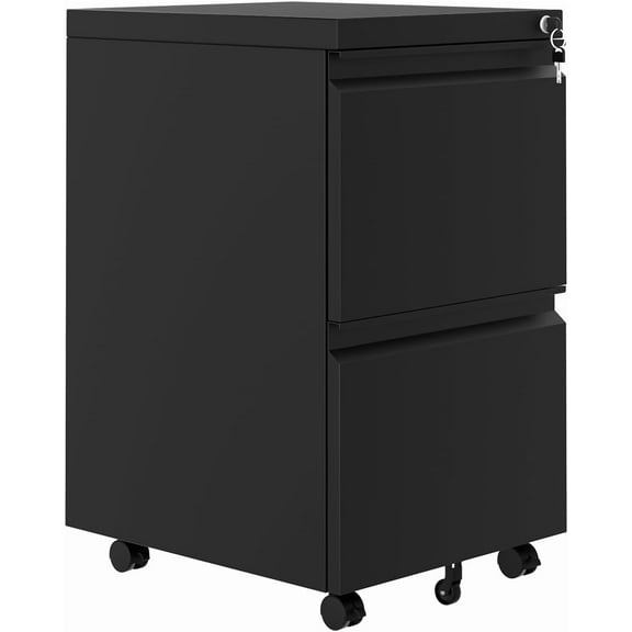 Historyli File Cabinet 2-Drawer On Wheels, Under Desk Metal Rolling Filing Cabinets with Lock, Small Rolling File Storage for Home Office Organizer Letters/Legal/A4,Black