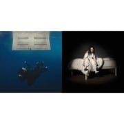 Hit Me Hard & Soft & When We All Fall Asleep, Where Do We Go? [CD Bundle]