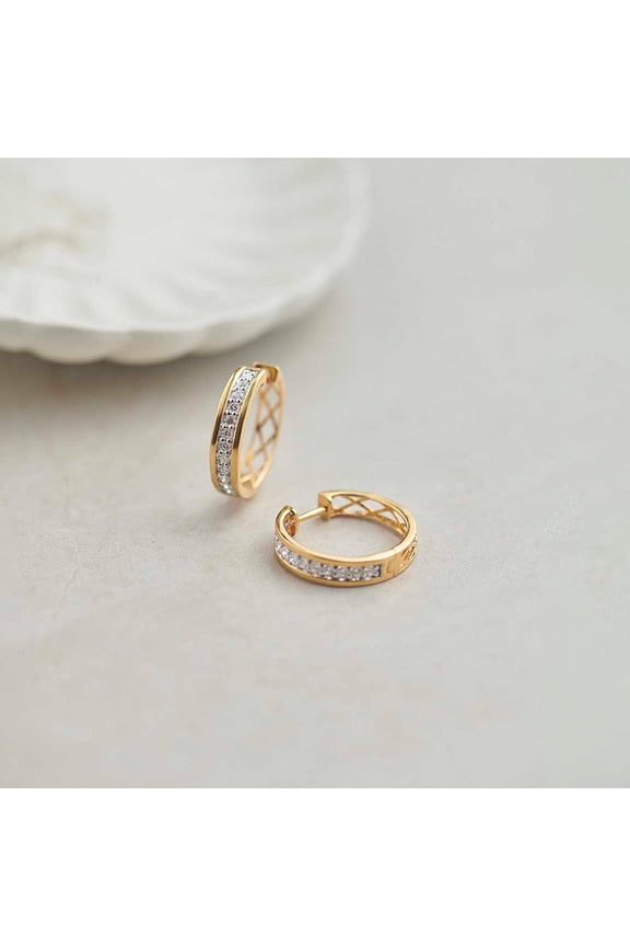 14K Gold Plated Hoop Earrings with Cubic Zirconia Pave and Mesh Detailing Elegant Hinge Closure for Women