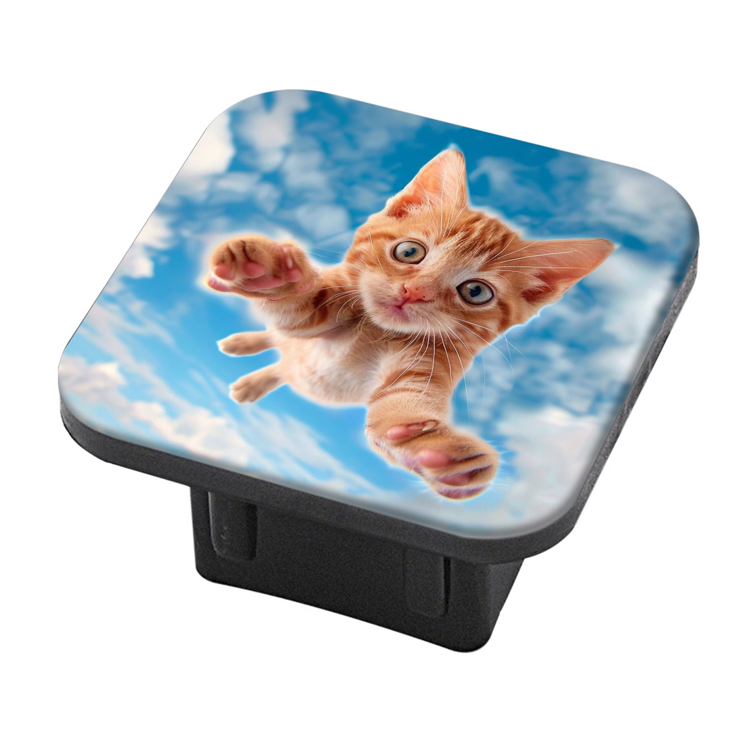 Ginger Cat Car Accessories
