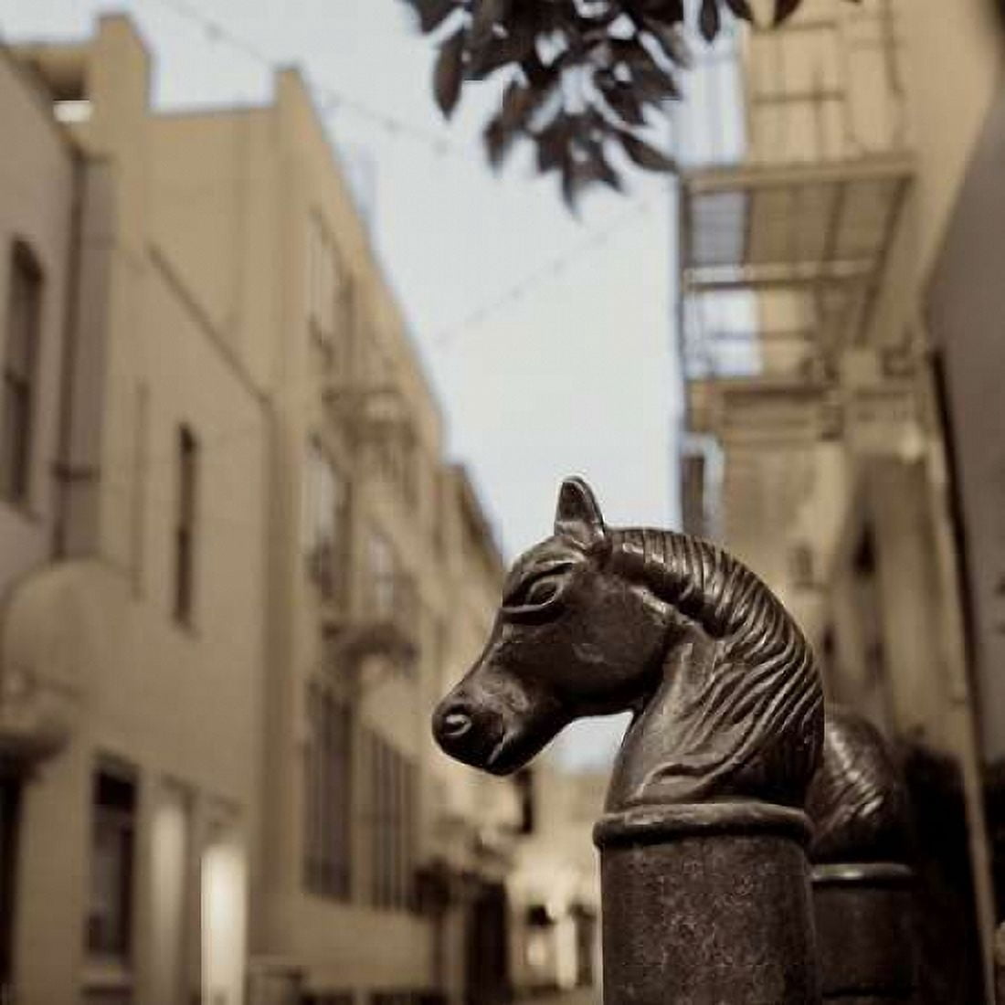 Hitching Post - 3 Canvas Art - Alan Blaustein (24 x 24)