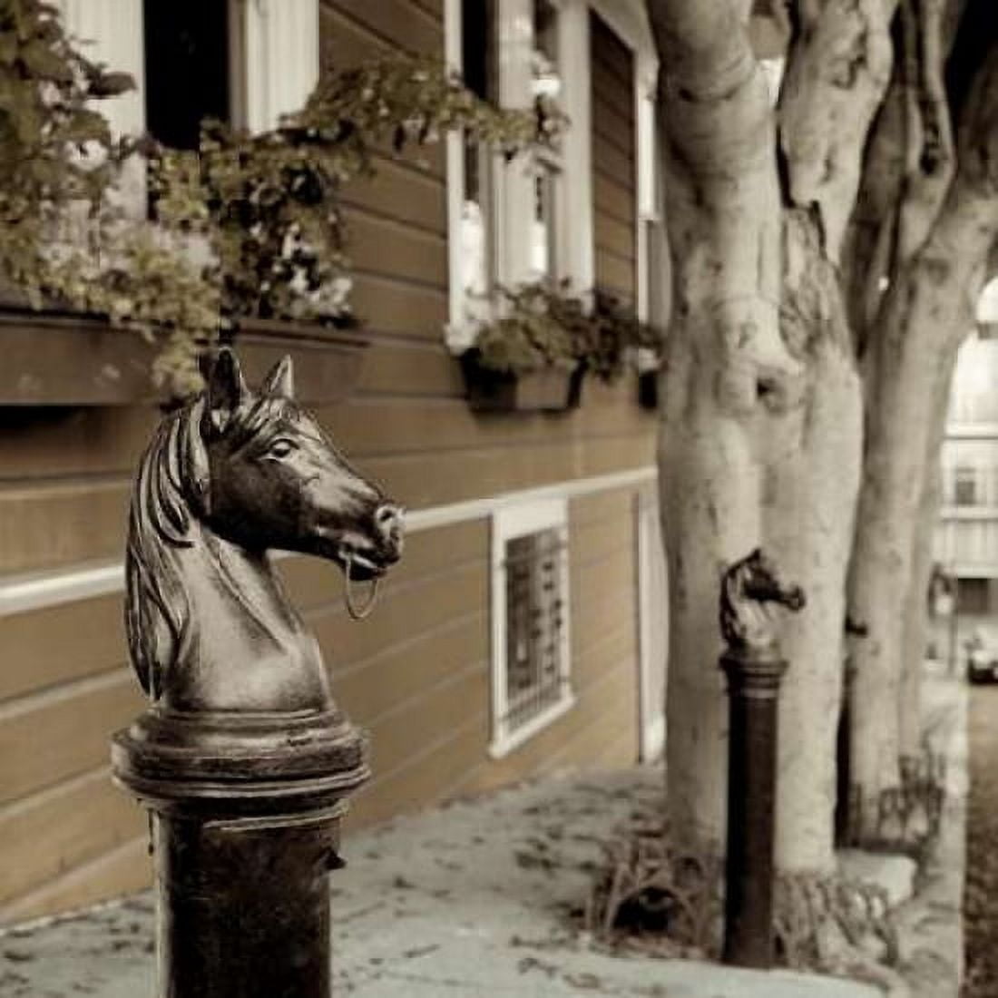 Hitching Post - 5 Canvas Art - Alan Blaustein (24 x 24)