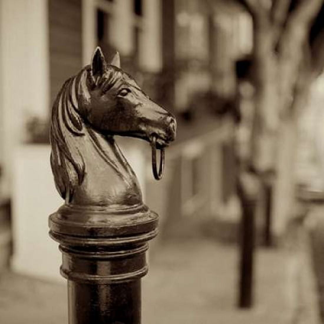 Hitching Post - 6 Canvas Art - Alan Blaustein (24 x 24)