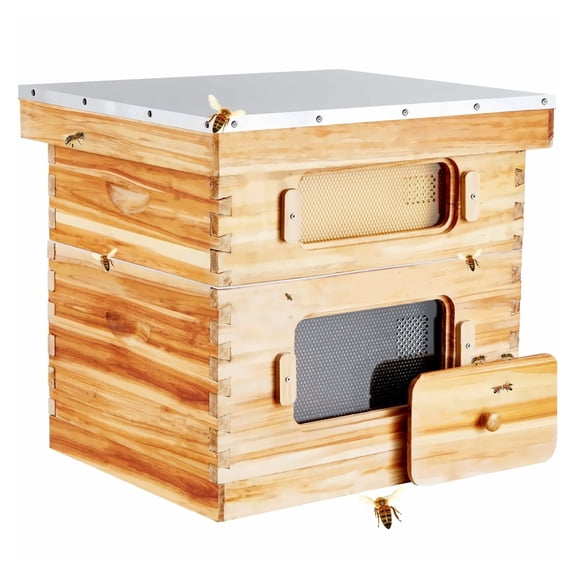 Hive 20 Frame Langstroth Hive Kit, Cedar Wood Beekeeping Starter Kit, Swax Coated Frames, Transparent Windows for Observation, Deep & Medium Boxes for Beginners