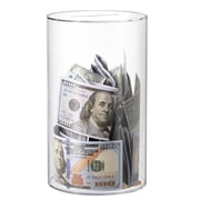 Hizgo Clear Piggy Bank 8" H x5" D - Acrylic Piggy Bank for Adults Must Break to Open -Boys Girls Birthday Gift