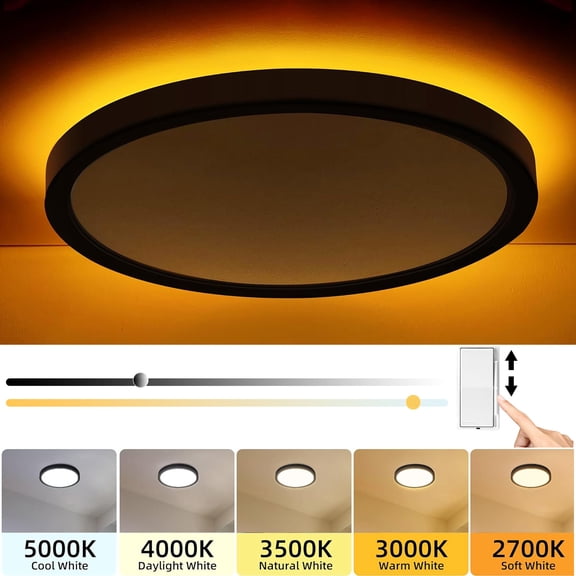 Hlite 12" Dimmable LED Ceiling Light with Night Light,24W 2400LM 5CCT Flat Round Flush Mount Lighting Fixtures for Bedroom,Hallway,Black,1-Pack