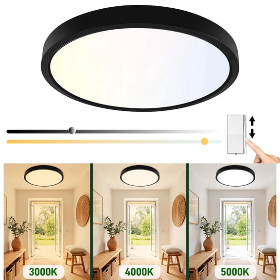 Hlite 24W 3CCT Selectable & Dimmable LED Ceiling Light, 12" Round Flat Panel Light, Damp Rated Flush Mount Light Fixture for Kitchen/Hallway/Bedroom, Black