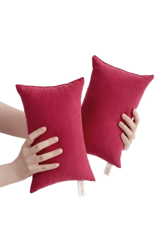 2 Pack Microfiber Tiny Pillows 11x7 Inch, Soft Machine Washable Travel Neck Pillows for Adults, Mini Pillows for Pet Bed, Lumbar Support, Office Nap, Car, Airplane - Red