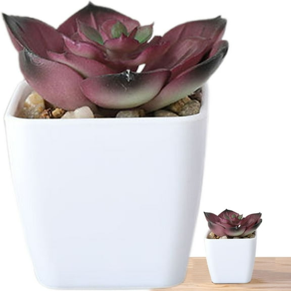 HmNPlay Lifelike Artificial Succulent Plants in White Pots, Faux Potted Greenery for Home Office Desk Decor, Realistic Low Maintenance Indoor Plants for Shelf Bathroom Decor