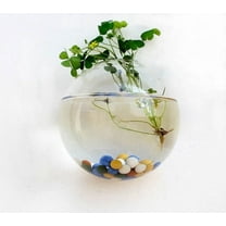 Hmgxay 3.9" Wall-Mounted Vase, Semi-Round Transparent Hydroponic Glass Planter, Decorative Hanging Glass Container, Stylish Water-Cultivation Flower Display