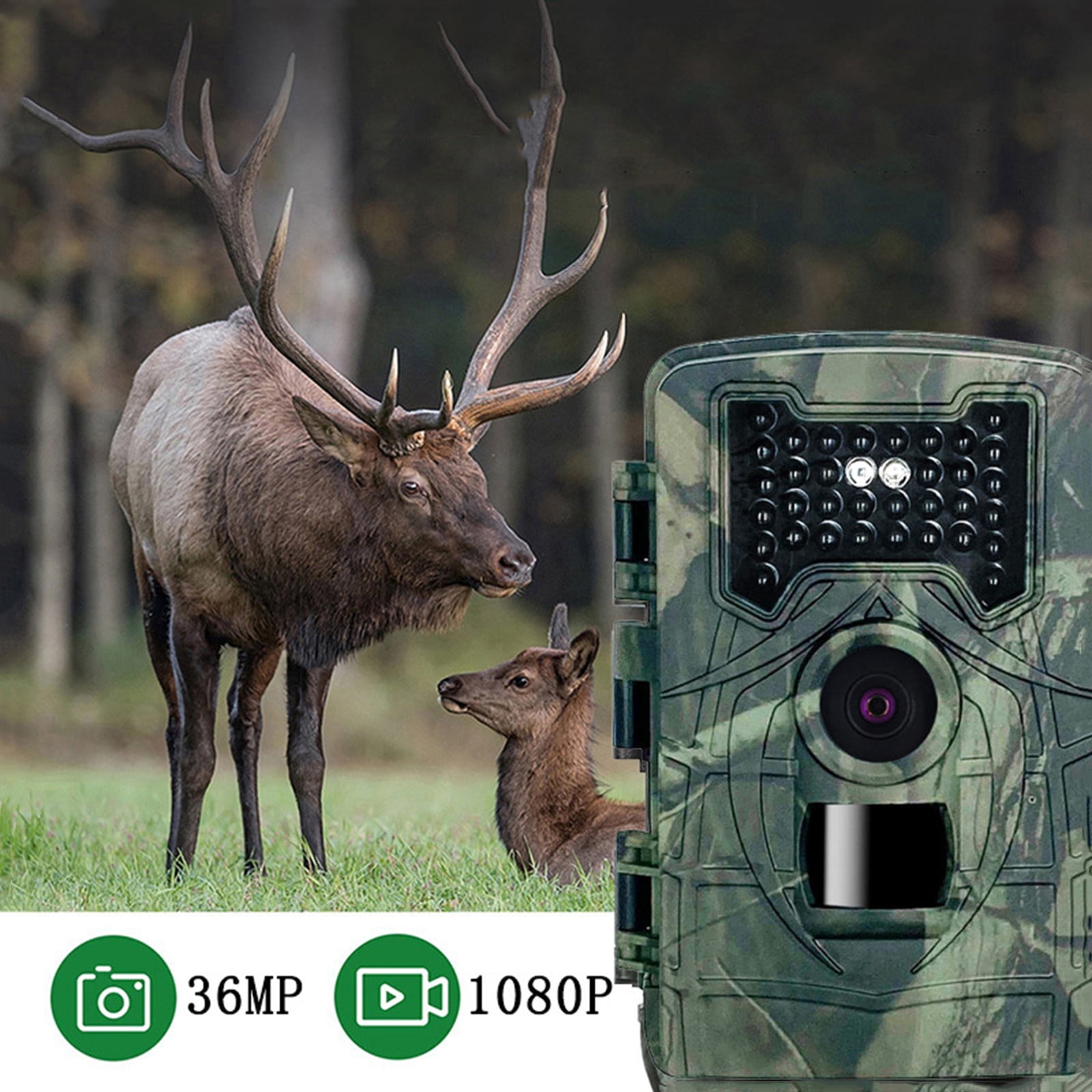 Hmsavn Home Decor Outdoor Tracking And Recording Camera Scientific ...