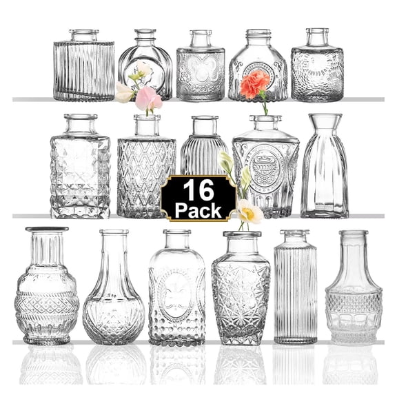 Hnrifc 16Pcs Glass Bud Vase Set,Small Vintage Flower Bottle Petite Glass Flower Vase for Floral Arrangements, Decorative Centerpiece, Table Decor, Home Wedding Party