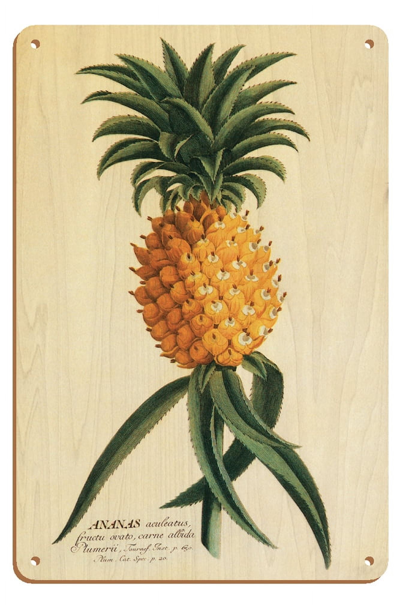 Ho’okipa (Hospitality) - Hawaiian Pineapple - Book Plate Plantae ...