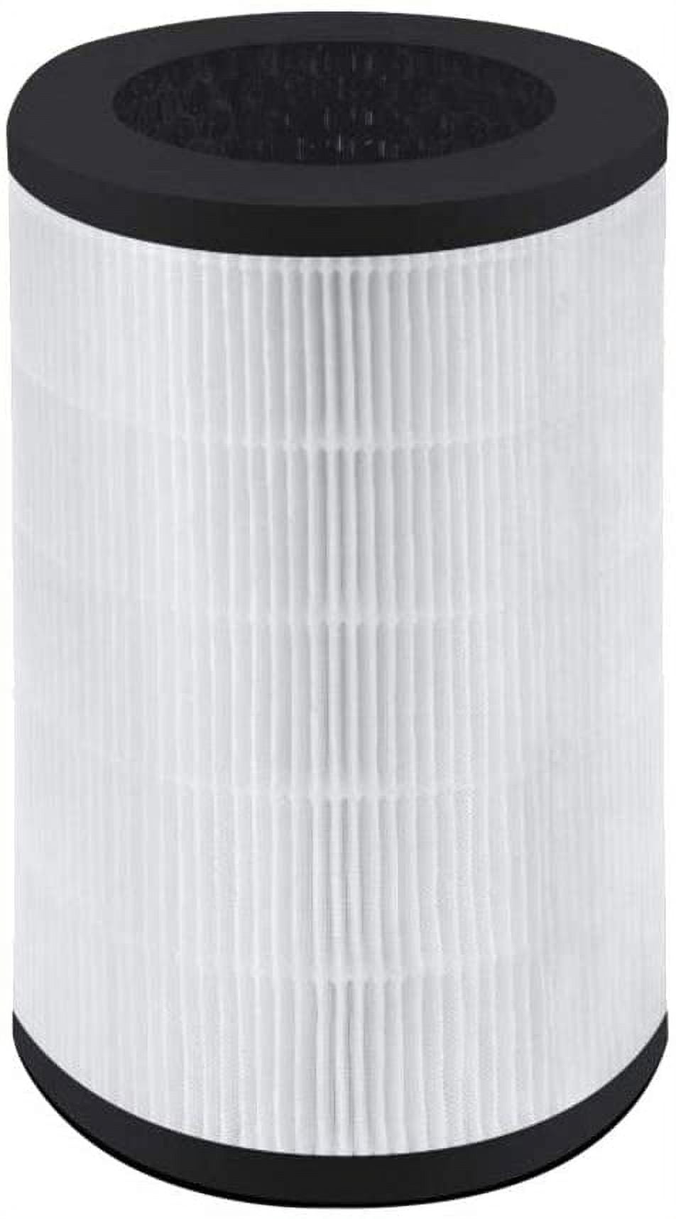 Homedics total clean filters online