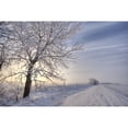 thumbnail image 1 of Hoar Frost Covered Tree Along A Snow Covered Road At Sunset, Rural Alberta Poster Print (17 x 11), 1 of 3