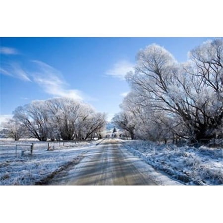 Hoar Frost Near Oturehua Central Otago South Island New Zealand Print by David Wall