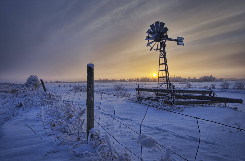 Hoar Frost On A Foggy Winter Sunset Alberta Canvas Art - Dan Jurak Design Pics (34 x 22)