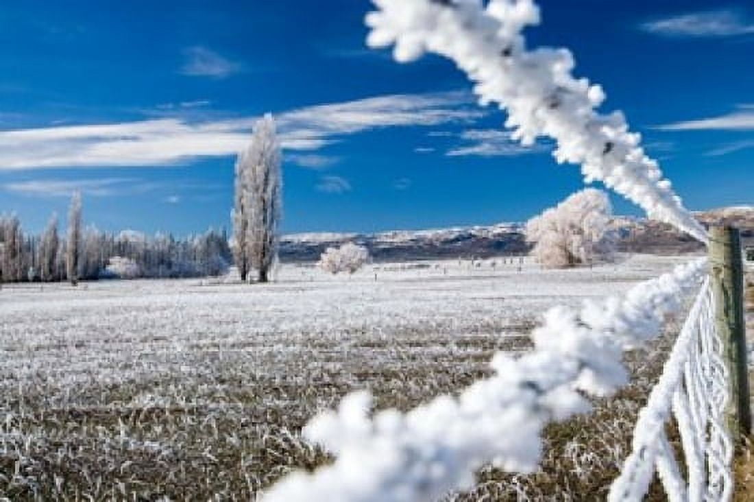Hoar Frost and Farmland near Poolburn Central Otago South Island New Zealand Canvas Art - David Wall DanitaDelimont (34 x 23)