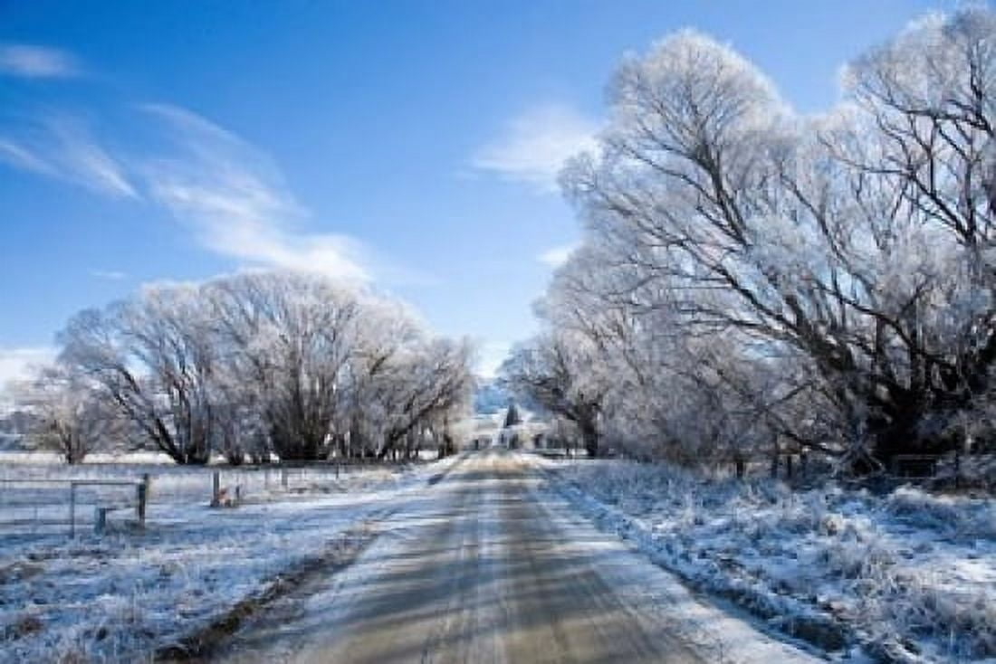 Hoar Frost near Oturehua Central Otago South Island New Zealand Canvas Art - David Wall DanitaDelimont (34 x 23)