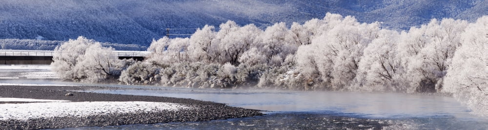 Hoar frost on trees by a river Arthurs Pass New Zealand Canvas Art - Nicola M Mora  Design Pics (41 x 11)