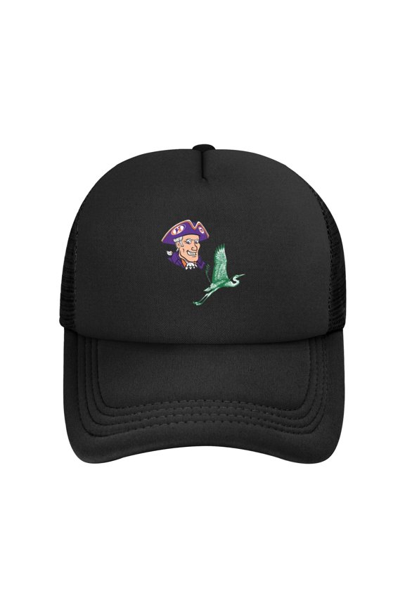 Hobart And William Smith Colleges Solid Color Lightweight Adult Mesh Baseball Cap