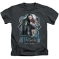 thumbnail image 1 of Hobbit Boys' Thorin Oakenshield Childrens T-shirt Grey, 1 of 2
