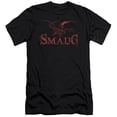 thumbnail image 1 of Hobbit Dragon S/S Adult 30/1 T-Shirt Black, 1 of 2