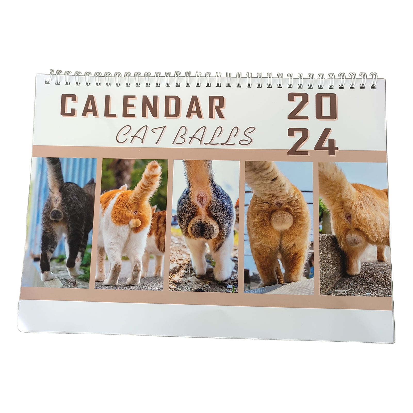 Hobeauty Desk Calendar 2024 Wall Calendar Exquisite Pattern Fade