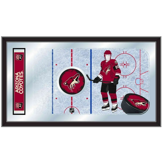 Hockey Rink Mirror
