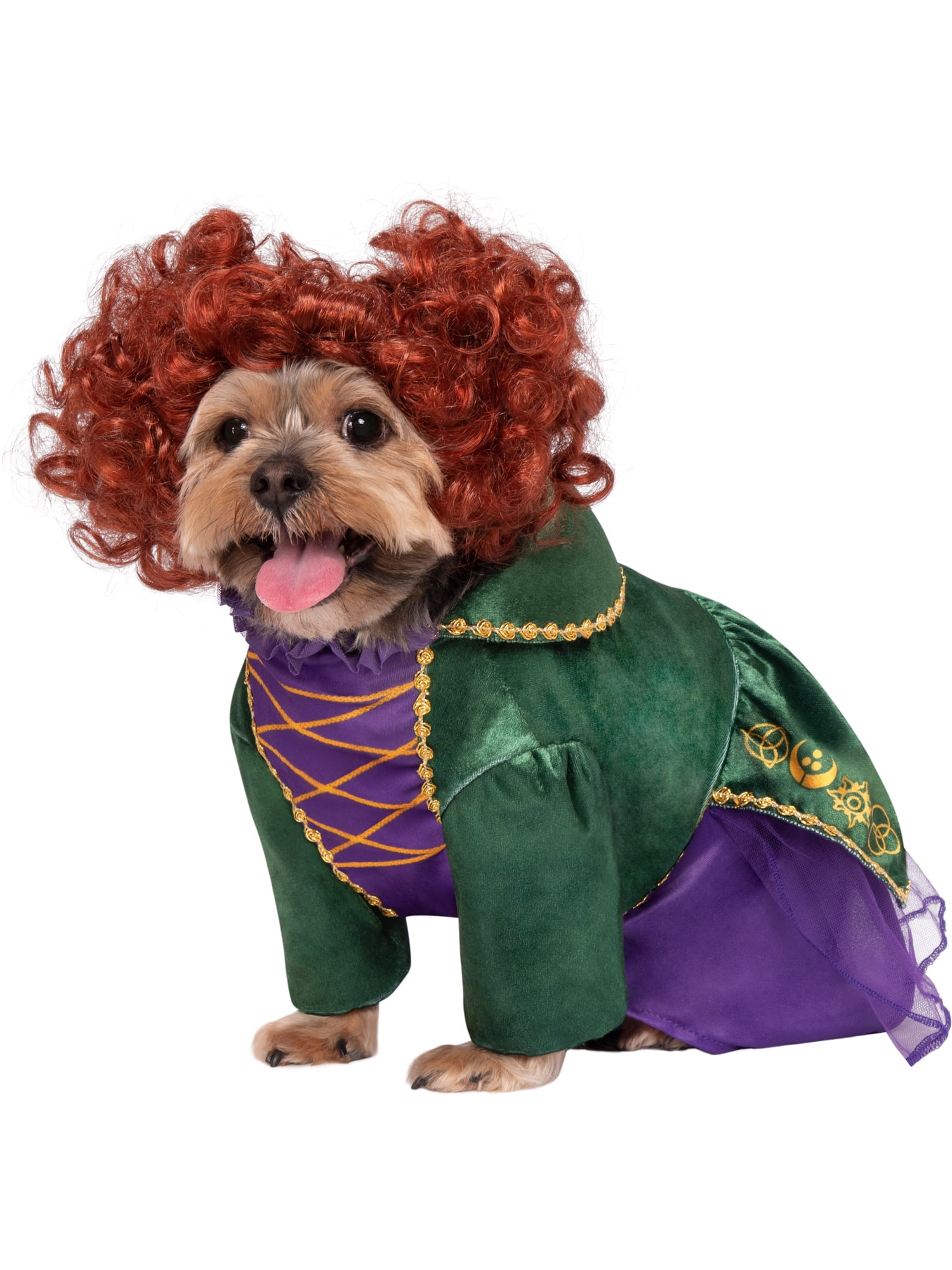 Disney Hocus Pocus Winifred Sanderson Pet Costume for Dogs or Cats by Rubies, Large