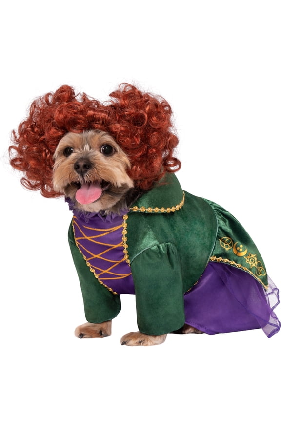 Disney Hocus Pocus Winifred Sanderson Pet Costume for Dogs or Cats by Rubies, XL
