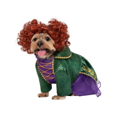 Disney Hocus Pocus Winifred Sanderson Pet Costume for Dogs or Cats by Rubies, Medium