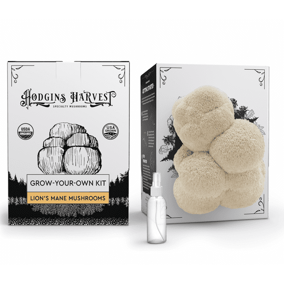 Hodgins Harvest Organic Lion's Mane Mushrooms Grow-Your-Own Kit