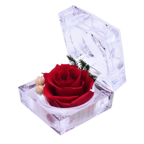 Hododo Preserved Real Rose Red Valentine's Day, Gift Box