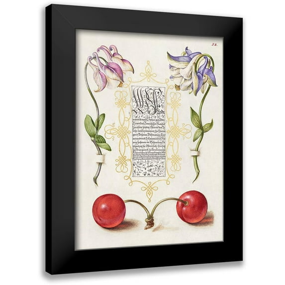 Hoefnagel, Bocskay 11x14 Black Modern Framed Museum Art Print Titled - From the Model Book of Calligraphy-III