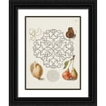 thumbnail image 1 of Hoefnagel, Bocskay 12x14 Black Ornate Wood Framed with Double Matting Museum Art Print Titled - From the Model Book of Calligraphy-IV, 1 of 4